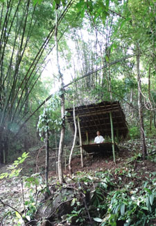 Meditation @ Bamboo Forest