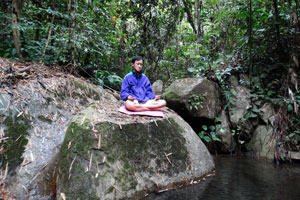 Meditation in Bamboo Forest
